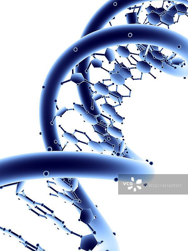 DNA分子图片素材