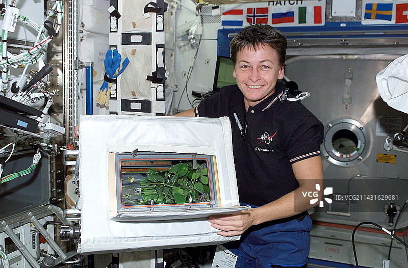 国际空间站天体培养图片素材