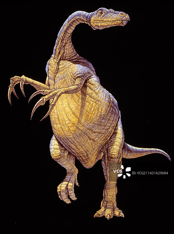 镰刀龙恐龙图片素材