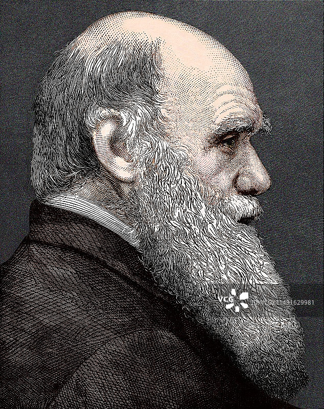 查尔斯·达尔文，英国博物学家图片素材