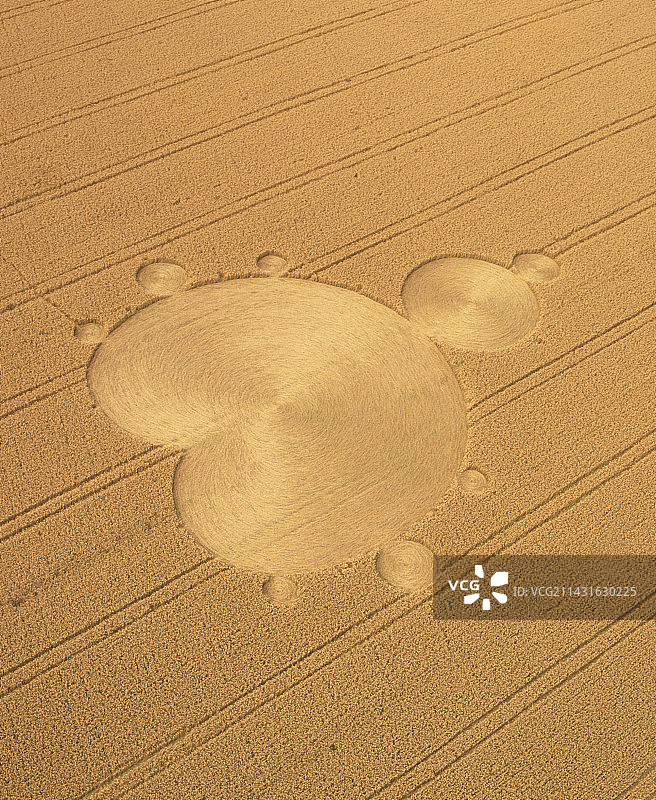 曼德勃罗集形式的农作物图案图片素材