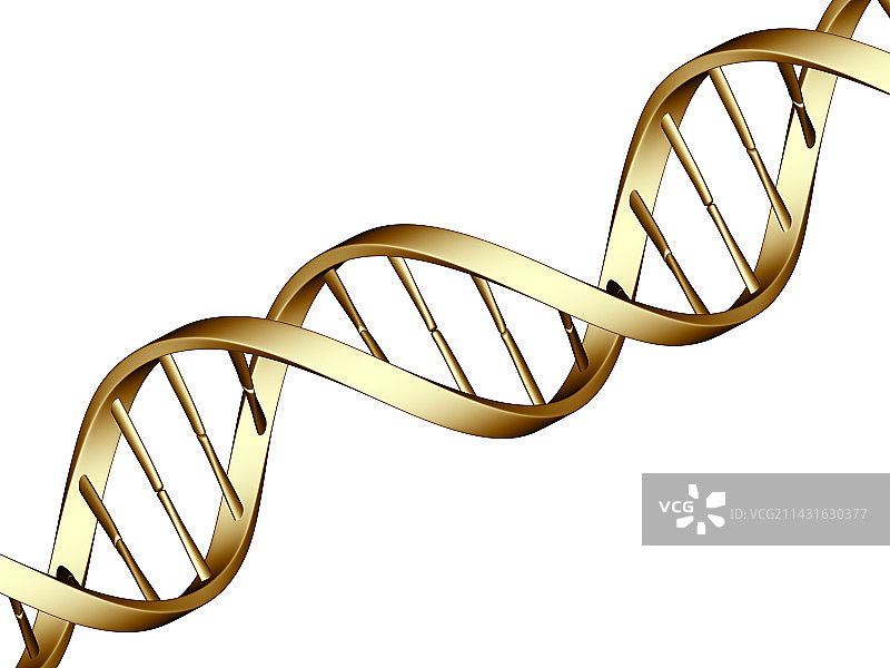 DNA分子图片素材