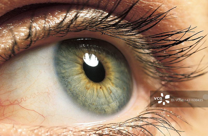 人类的眼睛图片素材