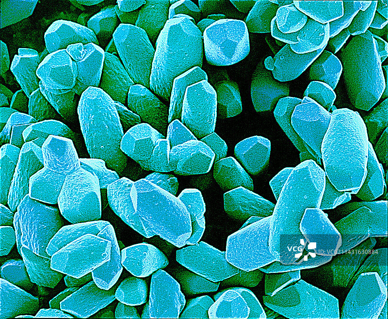 内耳平衡石扫描电镜图图片素材