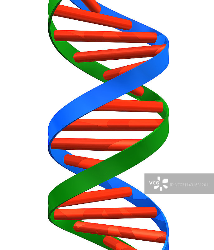 DNA螺旋结构图片素材