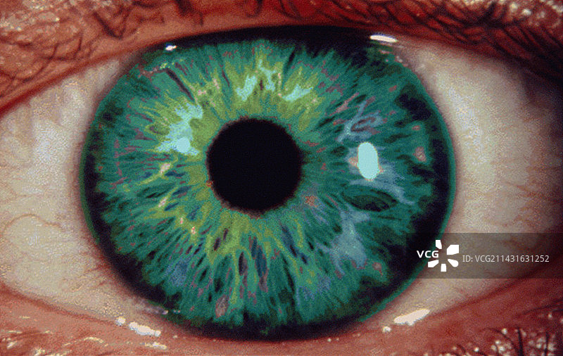 绿色眼睛图片素材