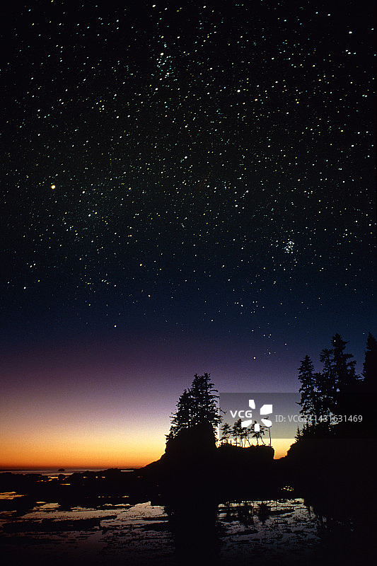 沿海树木群上的星空图片素材