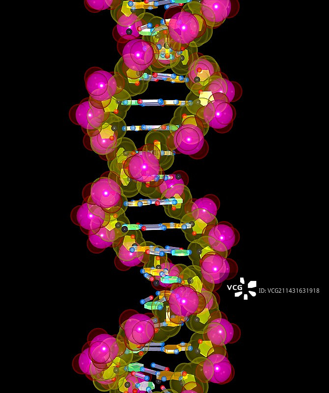 DNA分子图片素材
