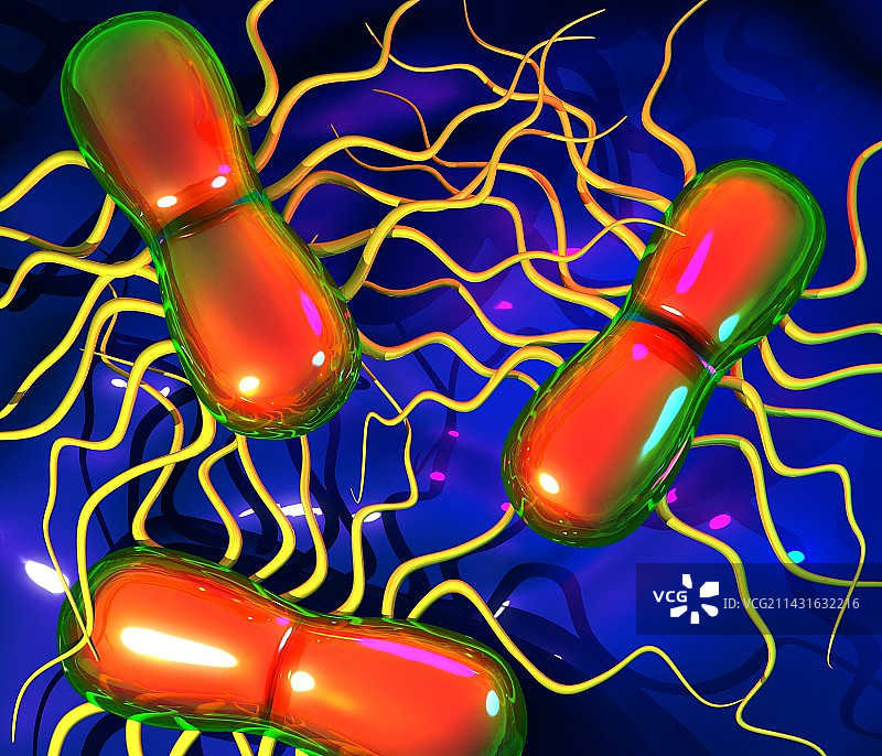 沙门氏菌图片素材
