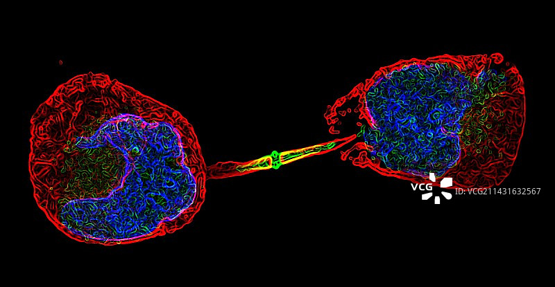 细胞分裂图片素材