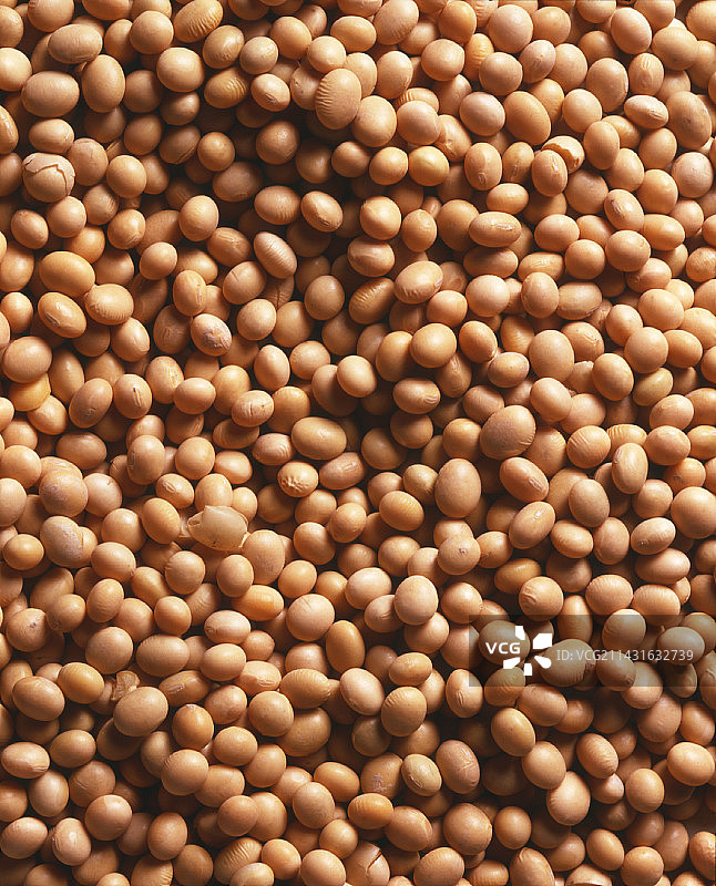 数百颗大豆的特写图片素材