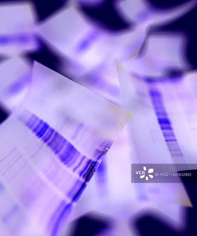 DNA电泳凝胶，艺术作品图片素材