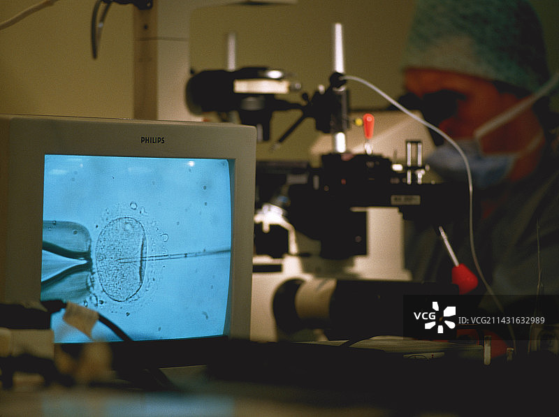 体外受精图片素材