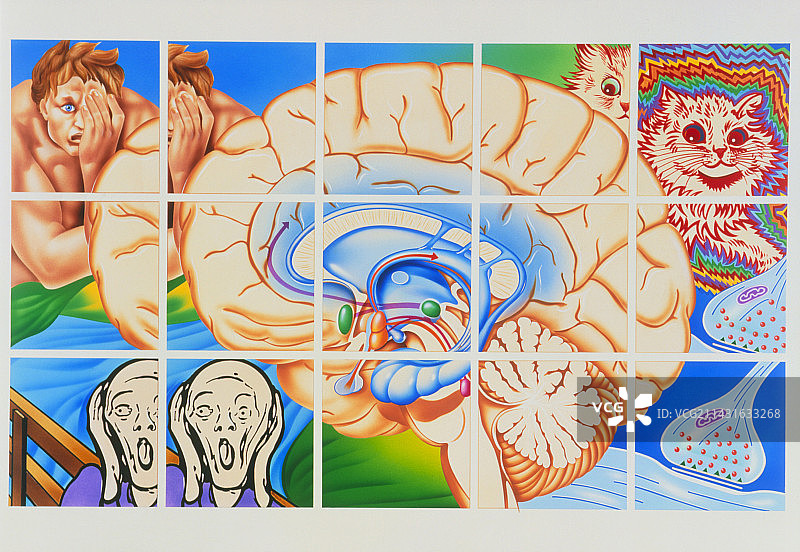 精神分裂症：大脑和绘画作品图片素材