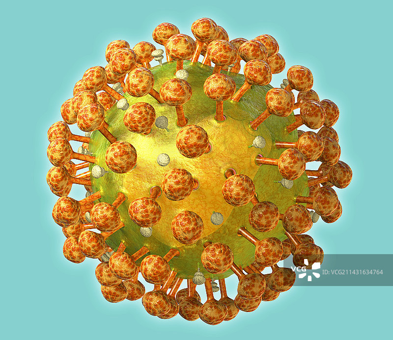 艾滋病毒颗粒图片素材