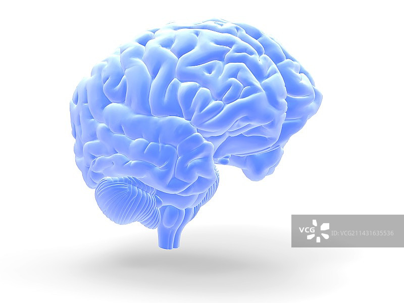 人脑，艺术品图片素材