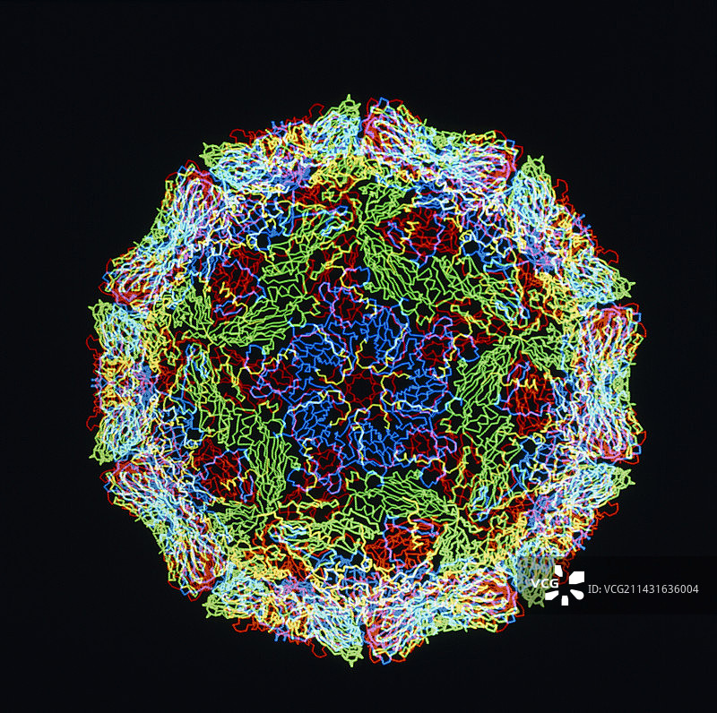 口蹄疫病毒的计算机图形图片素材