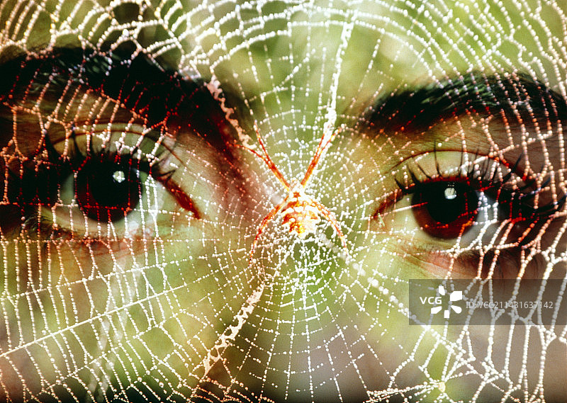 患有蜘蛛恐惧症的女人脸部凝视着蜘蛛网图片素材