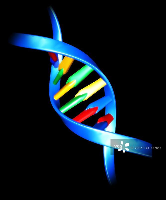 DNA分子图片素材