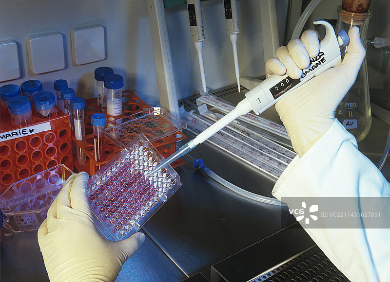 干细胞研究图片素材