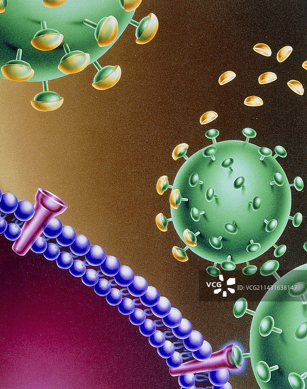 HIV-1病毒及潜在疗法艺术图图片素材