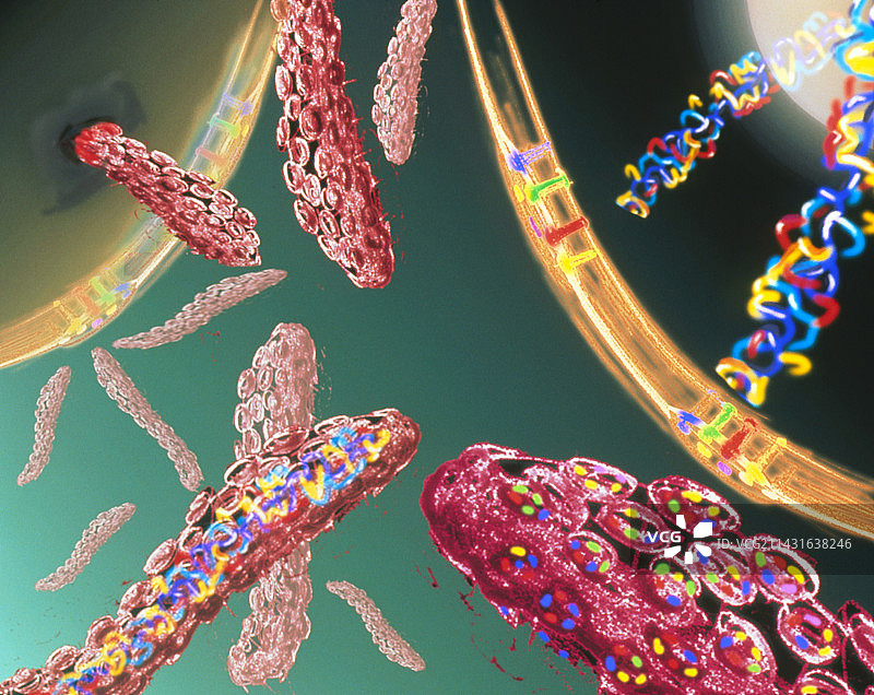 描绘埃博拉病毒RNA表达的艺术作品图片素材