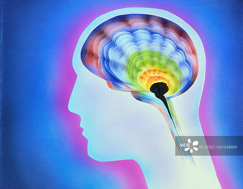 人头结构图图片素材