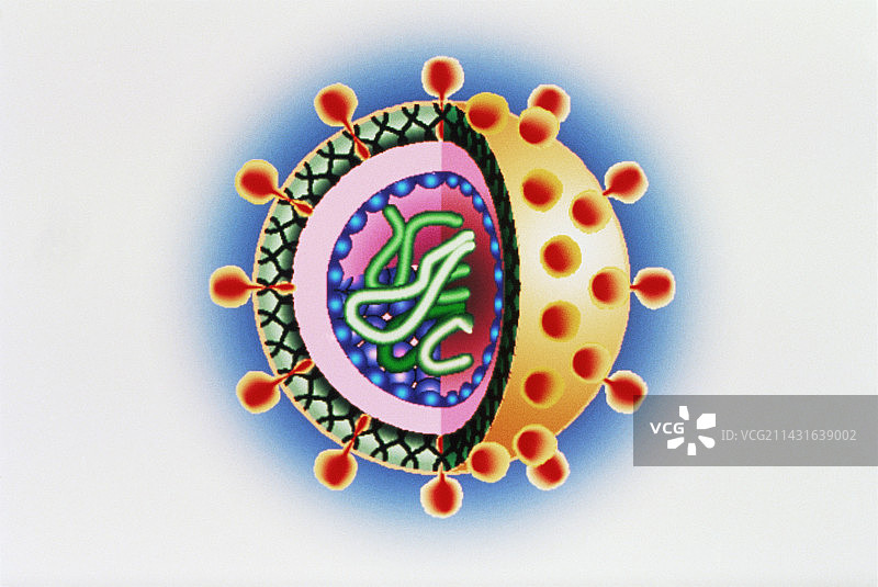 丙型肝炎病毒电脑艺术图图片素材