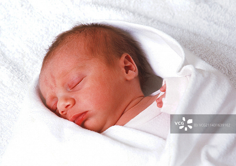 新生的婴儿图片素材