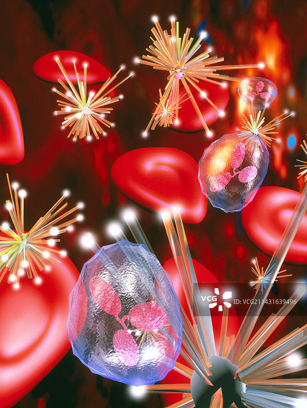 血液中血细胞和异物的艺术作品图片素材