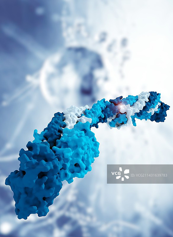 纤维蛋白原分子图片素材