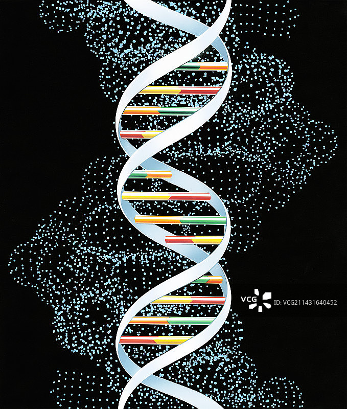 DNA分子图片素材
