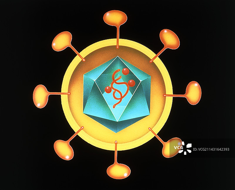 HIV逆转录病毒插画，黑色背景图片素材