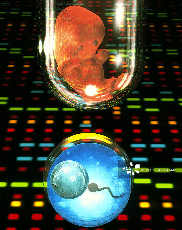 体外受精图片素材