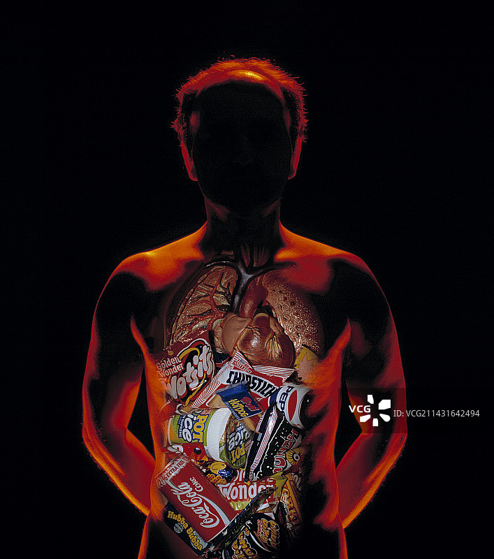 垃圾食品：人体模型与内脏图片素材