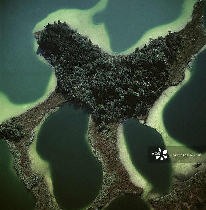 藻类大量繁殖图片素材
