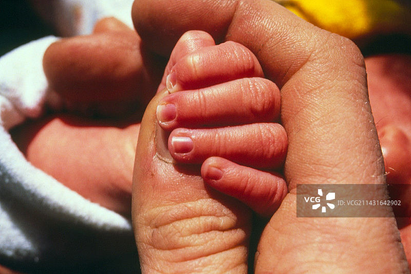 新生女婴的抓握图片素材