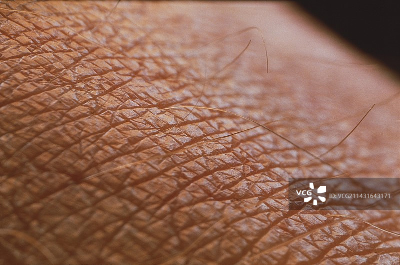 皮肤表面图片素材