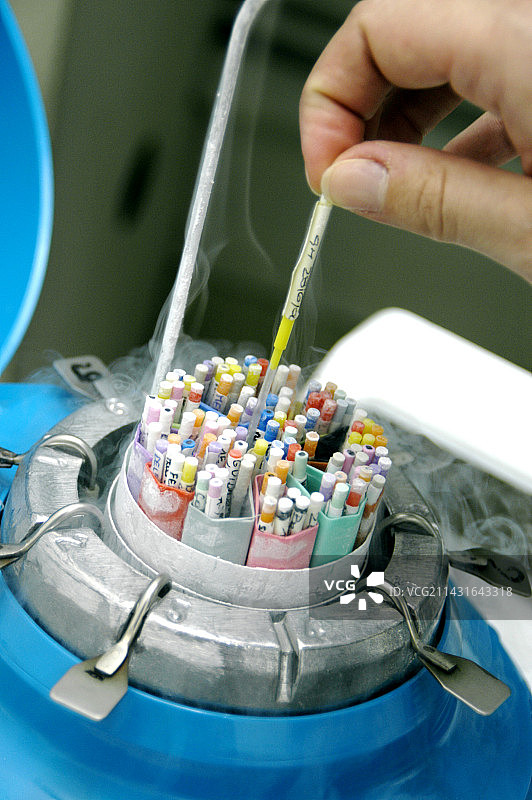 用于试管婴儿的精子储存图片素材