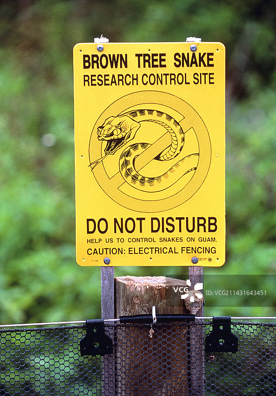 关岛棕树蛇出没警示牌图片素材