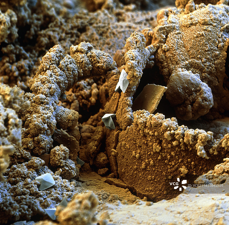 生锈的钉子的扫描电镜图图片素材