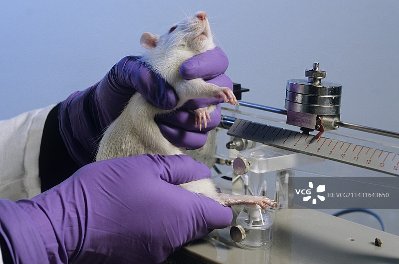 疼痛分析图片素材