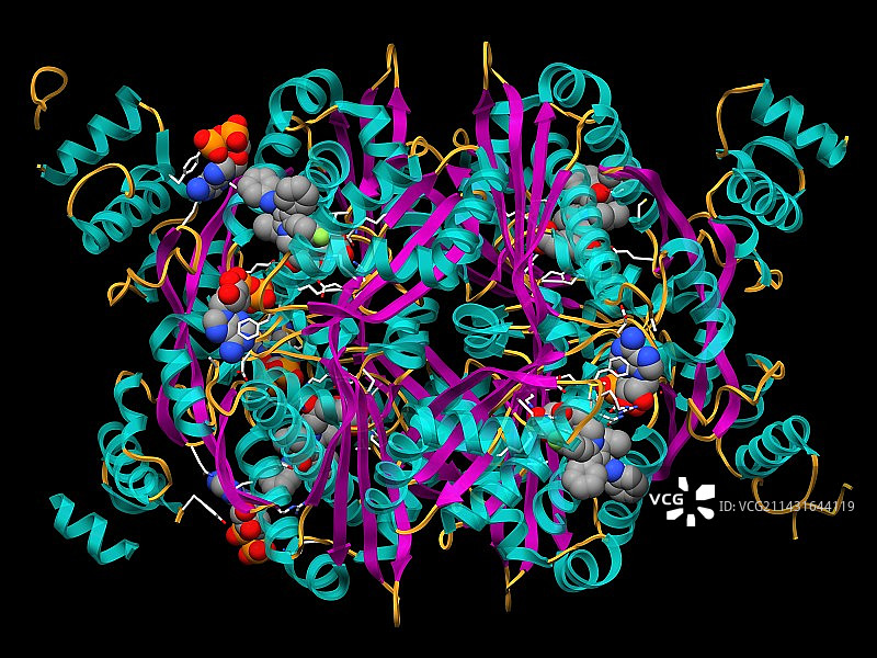 产生胆固醇的酶和他汀类药物图片素材
