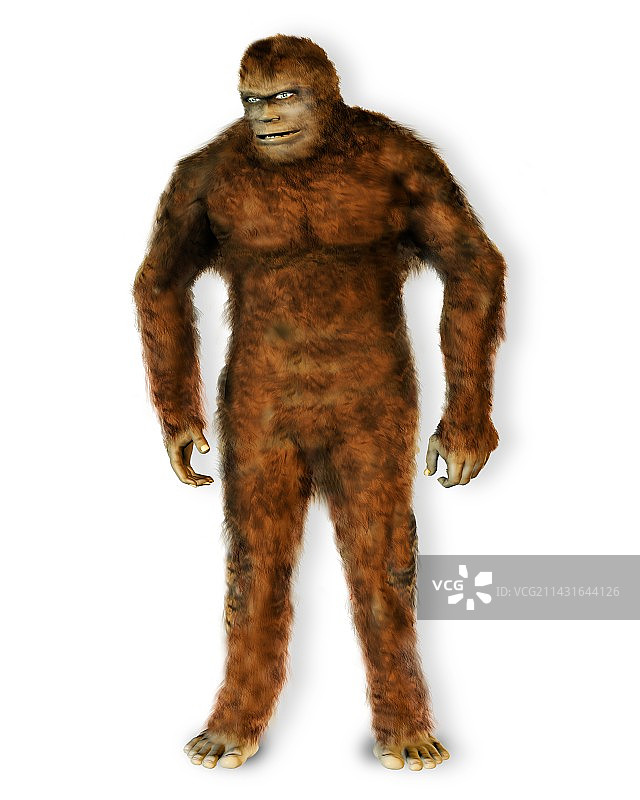 神话中的大型猿类图片素材