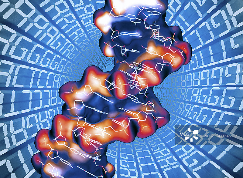 DNA分子图片素材