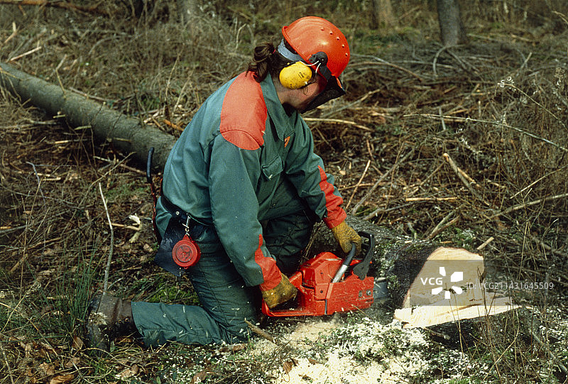 森林工人用链锯清理风暴破坏图片素材