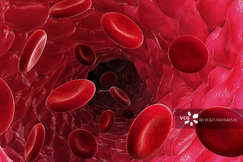 血管艺术作品图片素材