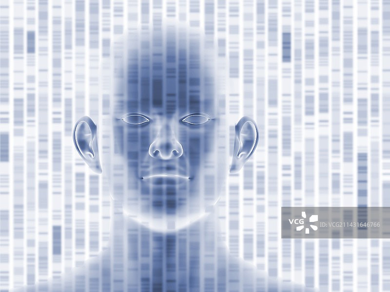 DNA自显影和头部图片素材