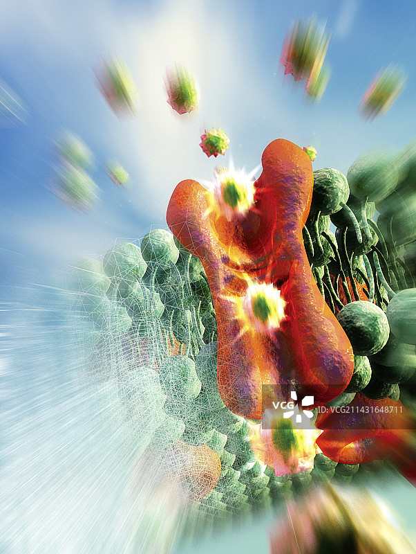 细胞膜离子通道图片素材