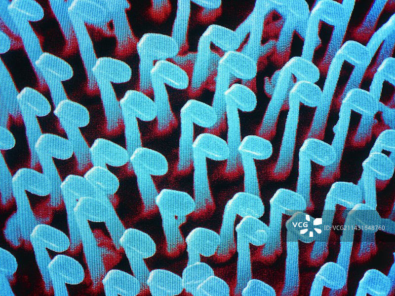 绿头苍蝇足垫毛发的彩色扫描电镜图图片素材